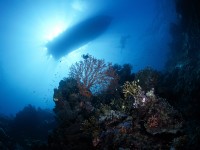 /album/fotogaleria/a0007-jpg/